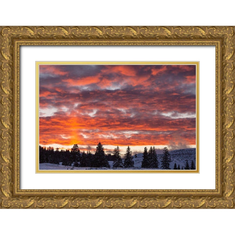 Winter Sunset in Lamar Valley, Yellowstone National Park Gold Ornate Wood Framed Art Print with Double Matting by The Yellowstone Collection