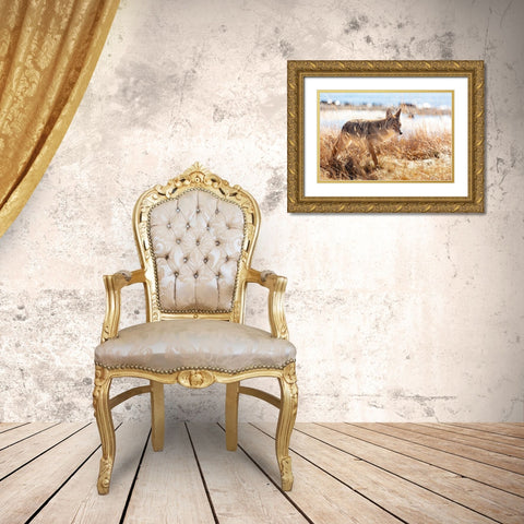 Coyote at Yellowstone Lake, Yellowstone National Park Gold Ornate Wood Framed Art Print with Double Matting by The Yellowstone Collection