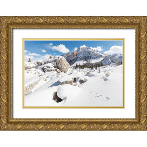 Coyote tracks in the Hoodoos, Yellowstone National Park Gold Ornate Wood Framed Art Print with Double Matting by The Yellowstone Collection