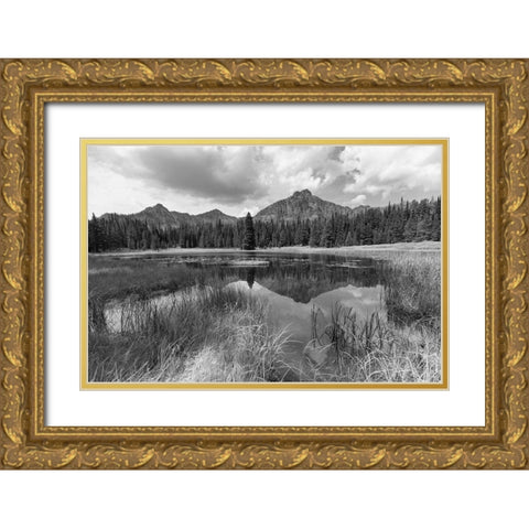 Custer-Gallatin National Forest, Knox Lake Trail, Yellowstone National Park Gold Ornate Wood Framed Art Print with Double Matting by The Yellowstone Collection