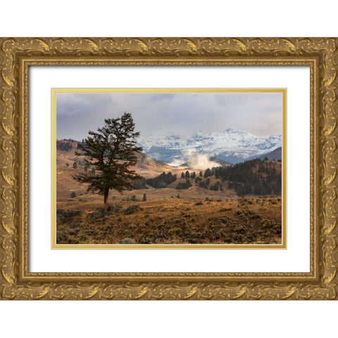 Cutoff Mountain from Lamar Valley, Yellowstone National Park Gold Ornate Wood Framed Art Print with Double Matting by The Yellowstone Collection