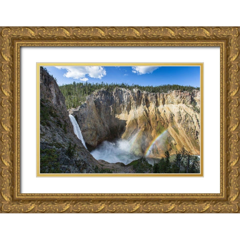 Lower Falls from Uncle Toms Trail, Yellowstone National Park Gold Ornate Wood Framed Art Print with Double Matting by Herbert, Neal