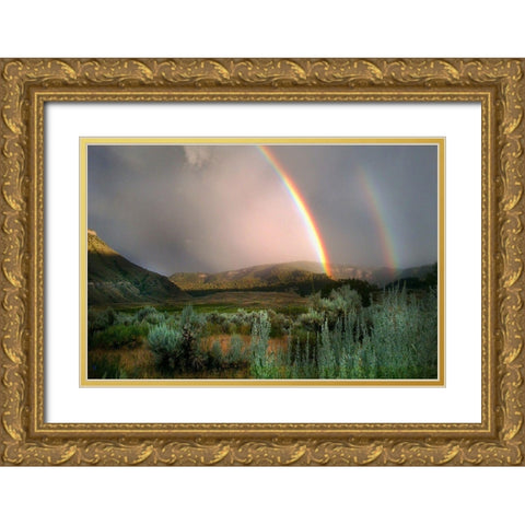 Double Rainbow from Lower Mammoth, Yellowstone National Park Gold Ornate Wood Framed Art Print with Double Matting by The Yellowstone Collection