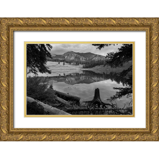 Perspective Image
