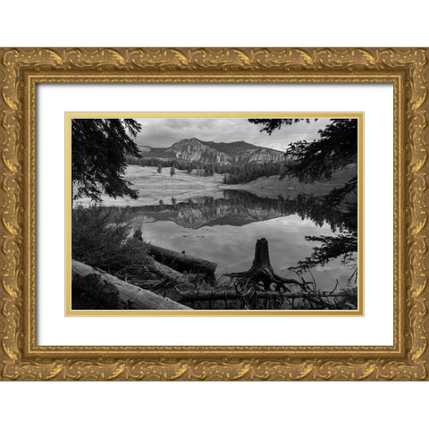 Early Morning at Trout Lake, Yellowstone National Park Gold Ornate Wood Framed Art Print with Double Matting by The Yellowstone Collection