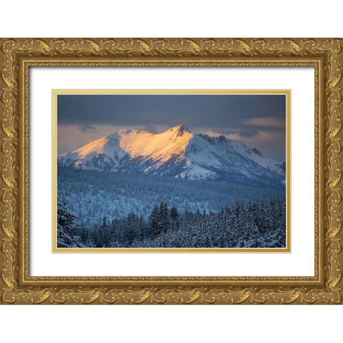 Electric Peak at Sunset, Yellowstone National Park Gold Ornate Wood Framed Art Print with Double Matting by Herbert, Neal