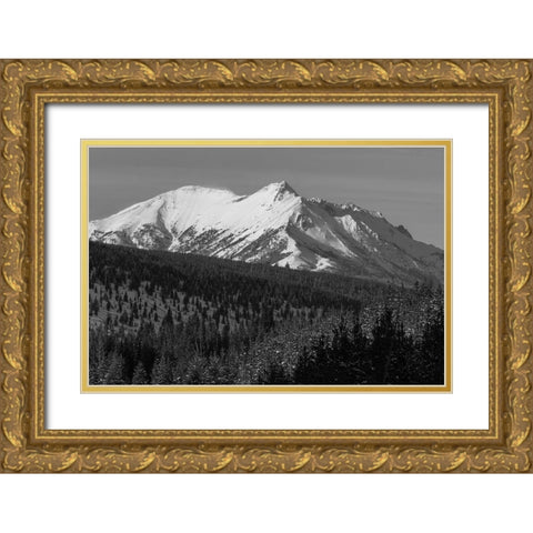 Electric Peak from Obsidian Canyon, Yellowstone National Park Gold Ornate Wood Framed Art Print with Double Matting by Frank, Jacob W.