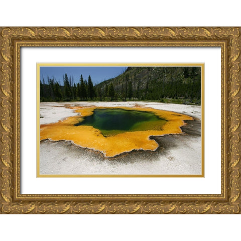 Emerald Pool in Black Sand Basin, Yellowstone National Park Gold Ornate Wood Framed Art Print with Double Matting by Peaco, Jim