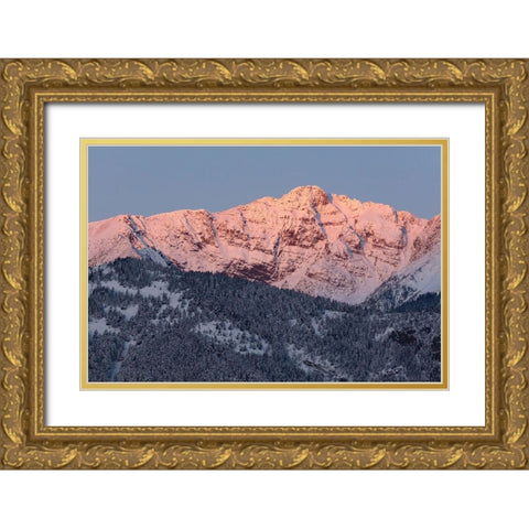 First light on Electric Peak, Yellowstone National Park Gold Ornate Wood Framed Art Print with Double Matting by Frank, Jacob W.