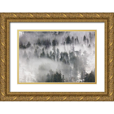 Fog in Lamar Valley, Yellowstone National Park Gold Ornate Wood Framed Art Print with Double Matting by The Yellowstone Collection