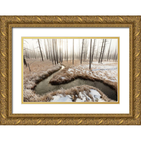 Foggy Morning at Tangled Creek, Yellowstone National Park Gold Ornate Wood Framed Art Print with Double Matting by The Yellowstone Collection