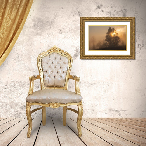 Foggy Sunrise, Blacktail Deer Plateau, Yellowstone National Park Gold Ornate Wood Framed Art Print with Double Matting by The Yellowstone Collection