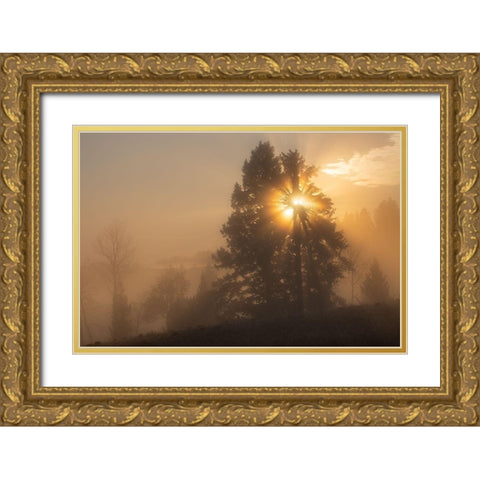 Foggy Sunrise, Blacktail Deer Plateau, Yellowstone National Park Gold Ornate Wood Framed Art Print with Double Matting by The Yellowstone Collection