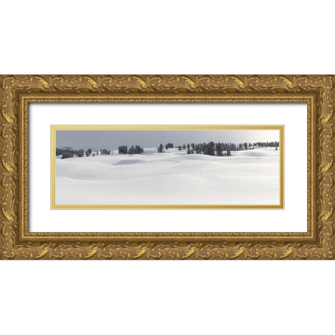 Fresh Snow, Blacktail Deer Plateau, Yellowstone National Park Gold Ornate Wood Framed Art Print with Double Matting by The Yellowstone Collection