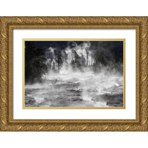 Frost and Steam, Midway Geyser Basin, Yellowstone National Park Gold Ornate Wood Framed Art Print with Double Matting by The Yellowstone Collection