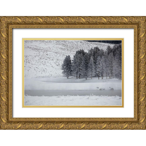 Frosty Trees in Hayden Valley, Yellowstone National Park Gold Ornate Wood Framed Art Print with Double Matting by The Yellowstone Collection