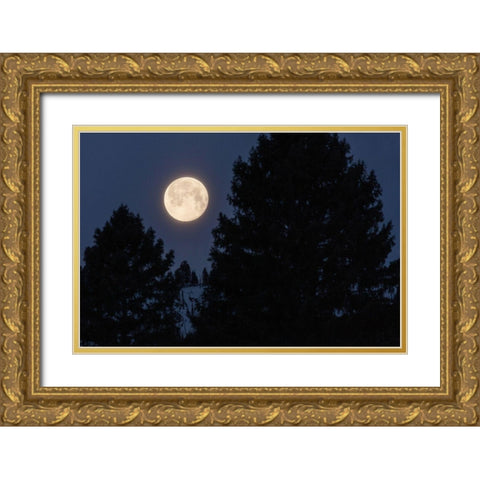 Full Moon sets Over Sepulcher Mountain, Yellowstone National Park Gold Ornate Wood Framed Art Print with Double Matting by The Yellowstone Collection