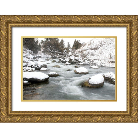 Gardner River, Yellowstone National Park Gold Ornate Wood Framed Art Print with Double Matting by Peaco, Jim