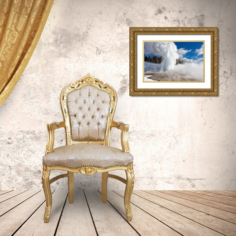 Grand Geyser Eruption, Yellowstone National Park Gold Ornate Wood Framed Art Print with Double Matting by Frank, Jacob W.