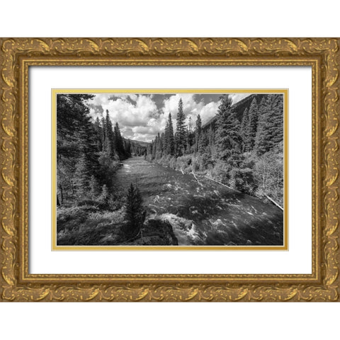 Hellroaring Creek near the Absaroka Beartooth Wilderness, Yellowstone National Park Gold Ornate Wood Framed Art Print with Double Matting by Frank, Jacob W.