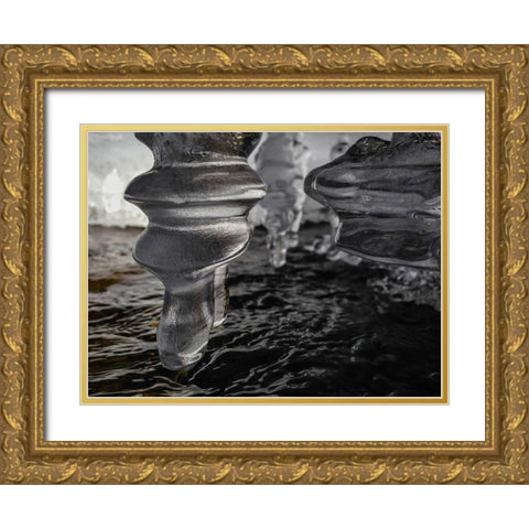 Hidden Gems in Pebble Creek, Yellowstone National Park Gold Ornate Wood Framed Art Print with Double Matting by The Yellowstone Collection