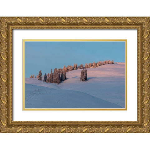 Last Light on Flanks of Bison Peak, Yellowstone National Park Gold Ornate Wood Framed Art Print with Double Matting by The Yellowstone Collection