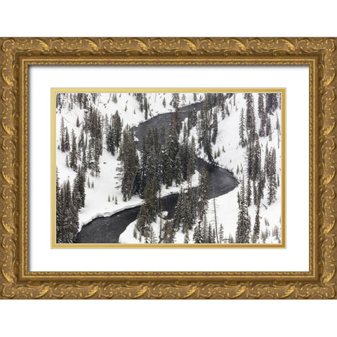 Lewis River, Yellowstone National Park Gold Ornate Wood Framed Art Print with Double Matting by Frank, Jacob W.