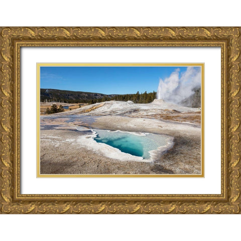 Lion Geyser and Heart Spring, Yellowstone National Park Gold Ornate Wood Framed Art Print with Double Matting by The Yellowstone Collection