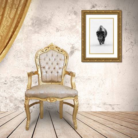 Lone Bull Bison, Yellowstone National Park Gold Ornate Wood Framed Art Print with Double Matting by The Yellowstone Collection