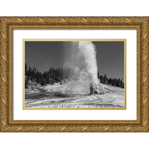 Lone Star Geyser, Yellowstone National Park Gold Ornate Wood Framed Art Print with Double Matting by Frank, Jacob W.