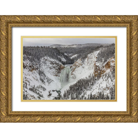 Lower Falls from Lookout Point, Yellowstone National Park Gold Ornate Wood Framed Art Print with Double Matting by Frank, Jacob W.