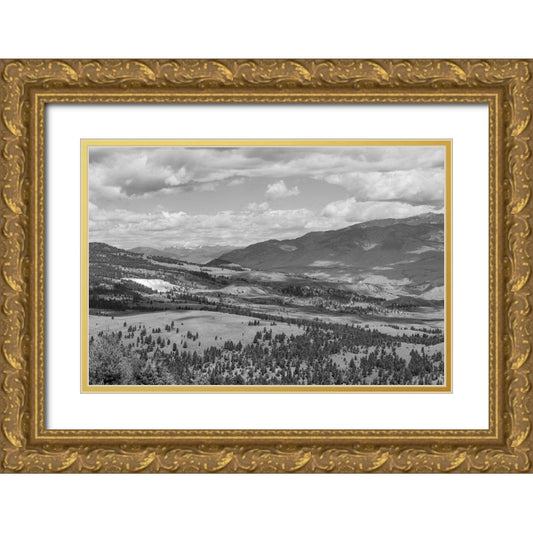 Perspective Image