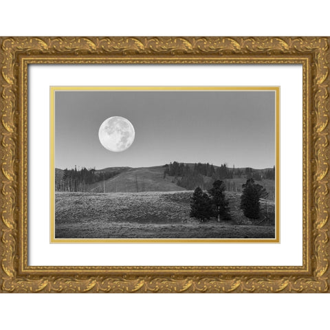 Moonset, Lamar Valley, Yellowstone National Park Gold Ornate Wood Framed Art Print with Double Matting by Herbert, Neal