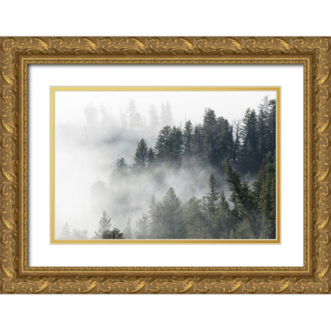Morning Fog near Tower Fall, Yellowstone National Park Gold Ornate Wood Framed Art Print with Double Matting by The Yellowstone Collection