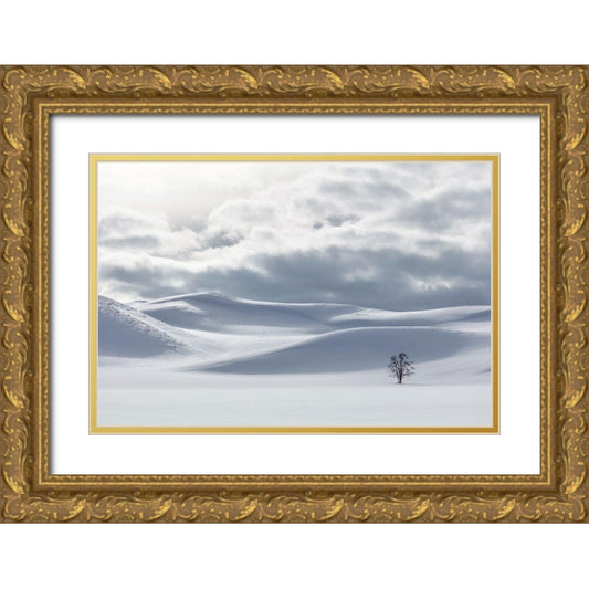 Perspective Image