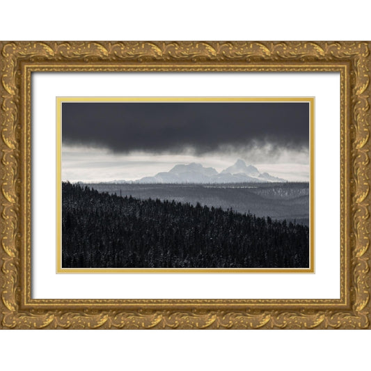 Perspective Image