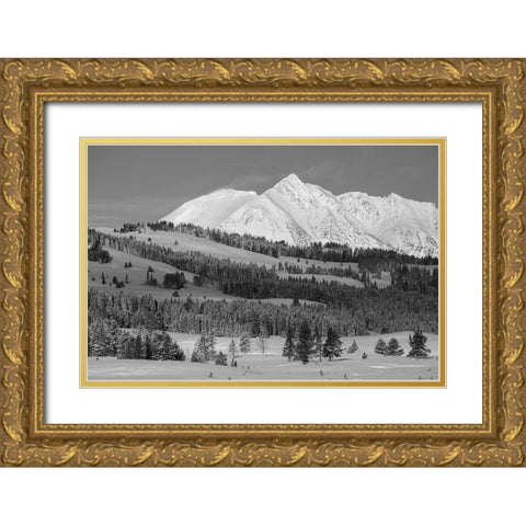 Winter Morning, Electric Peak, Yellowstone National Park Gold Ornate Wood Framed Art Print with Double Matting by The Yellowstone Collection