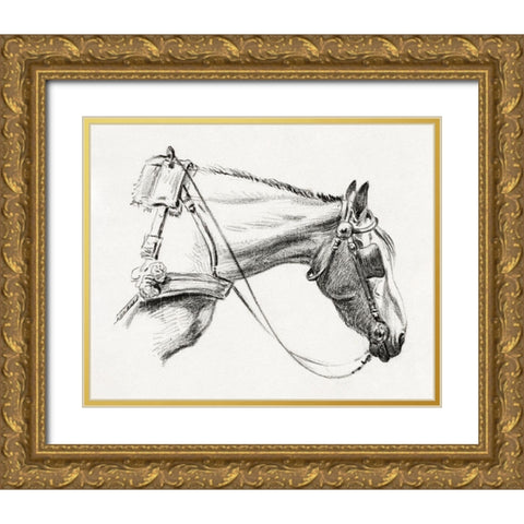 Head of a Horse III 1820 Gold Ornate Wood Framed Art Print with Double Matting by Bernard, Jean