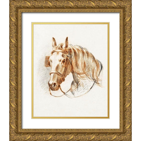 Head of a Horse IV  Gold Ornate Wood Framed Art Print with Double Matting by Bernard, Jean