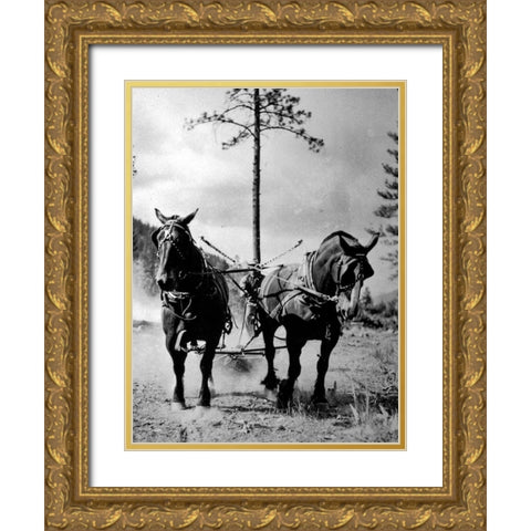 Eight Mile Fire Team Gold Ornate Wood Framed Art Print with Double Matting by Vintage Photography