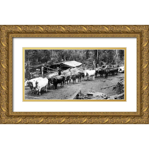 Logging with Ox Teams Gold Ornate Wood Framed Art Print with Double Matting by Vintage Photography