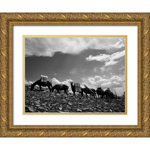 Sheepeater Mountain Fire Look Out Gold Ornate Wood Framed Art Print with Double Matting by Vintage Photography