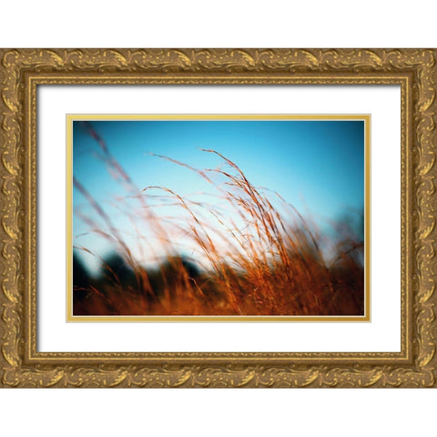 Alabama Grasslands Gold Ornate Wood Framed Art Print with Double Matting by Alabama Picture Archive