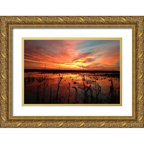March Sunrise in Missouri Gold Ornate Wood Framed Art Print with Double Matting by Helmers, Doug