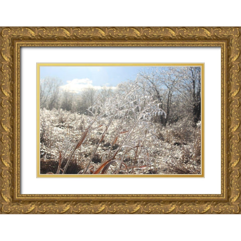 Tallgrass Trail at Big Muddy National Fish and Wildlife Refuge-Missouri Gold Ornate Wood Framed Art Print with Double Matting by Weyers, Anna