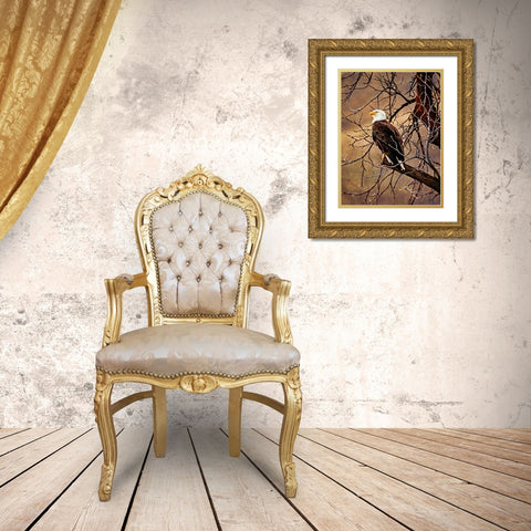 Bald Eagle Gold Ornate Wood Framed Art Print with Double Matting by Alpenglow Workshop
