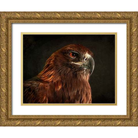 Golden Eagle Gold Ornate Wood Framed Art Print with Double Matting by Alpenglow Workshop