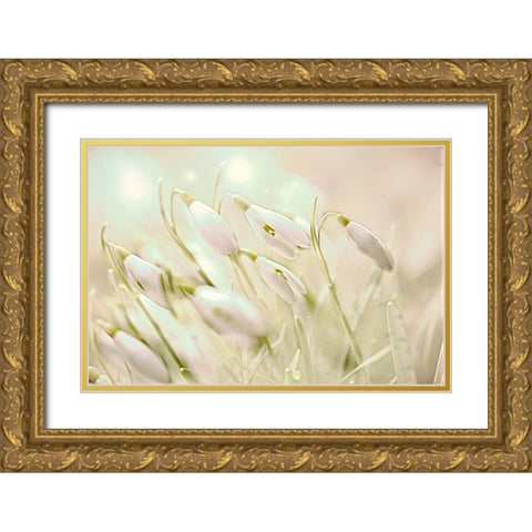 Enchanting Snowdrops Gold Ornate Wood Framed Art Print with Double Matting by Alpenglow Workshop