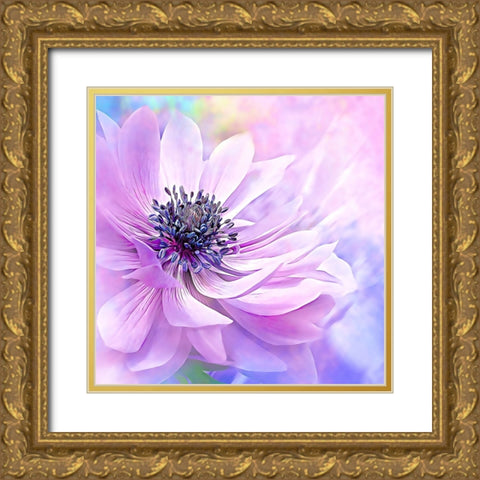 Wispy Purple Anemone Gold Ornate Wood Framed Art Print with Double Matting by Alpenglow Workshop