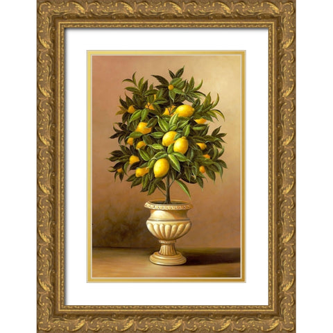 Potted Lemon Tree Gold Ornate Wood Framed Art Print with Double Matting by Welby